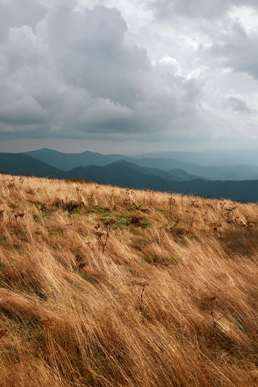 Roan Mountain
